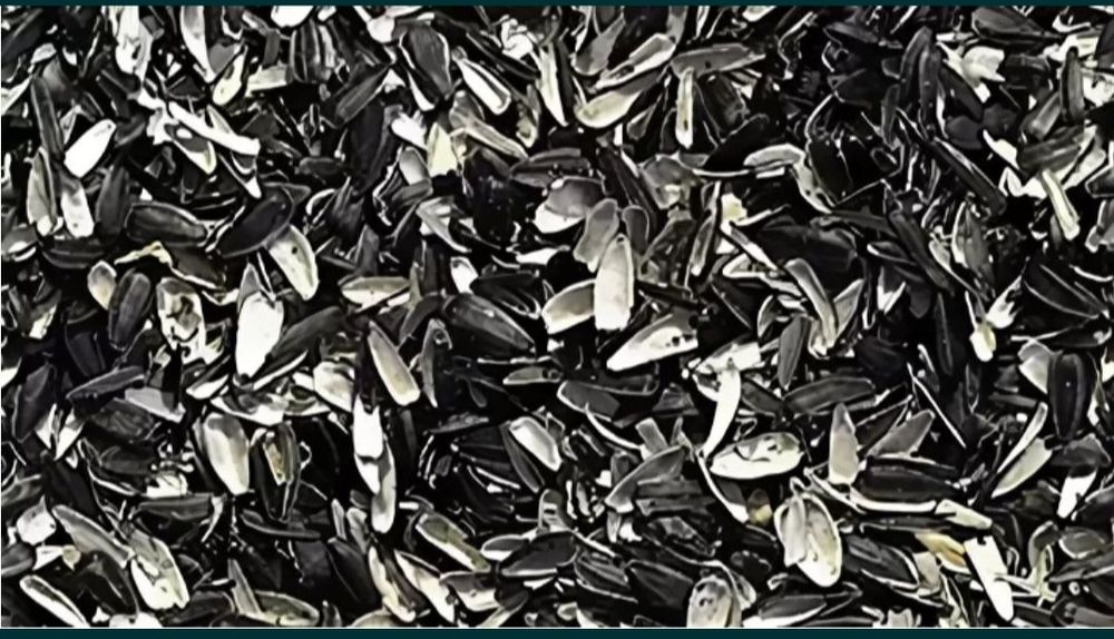 Лузга подсолнечника