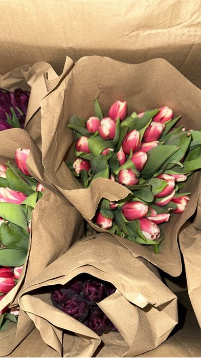 Тюльпаны оптом местные