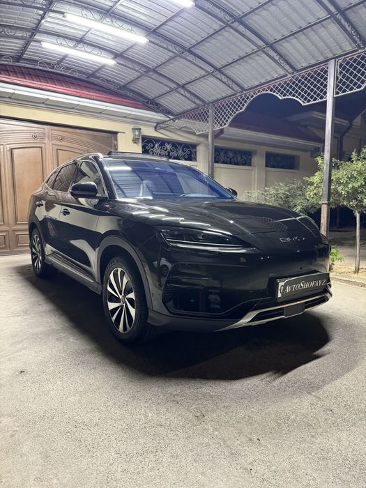 BYD chempion 605