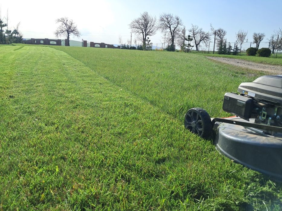 Ingrijire spații verzi, toaletare arbori, tundere gazon, Piatra Neamț