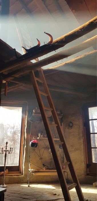 Vand Cabana ecologica zona Oradea