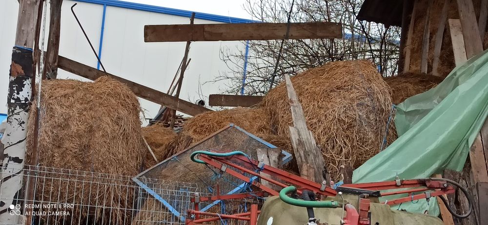 Vând baloți lucerna și fan