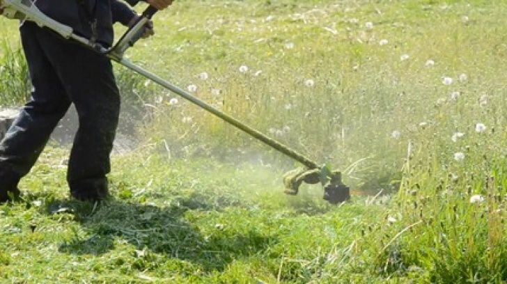 Defrisari terenuri, întreținere spatii verzi