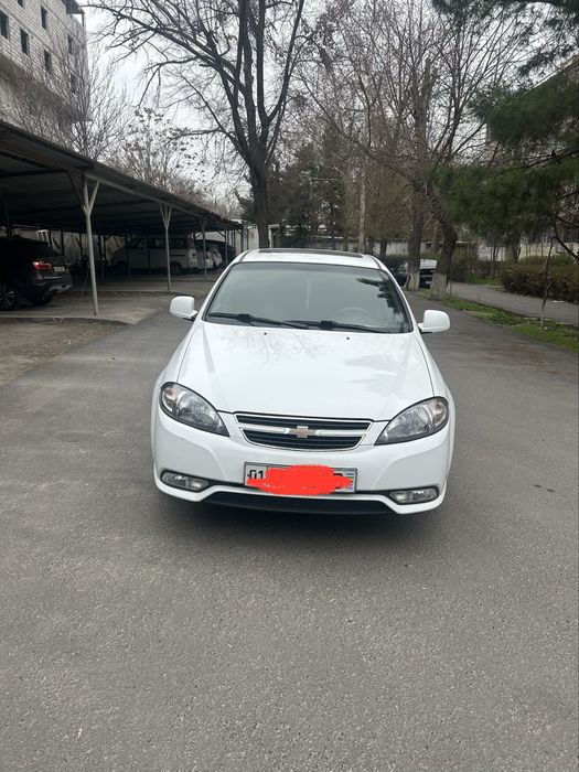 Ласети Jentra elegant +