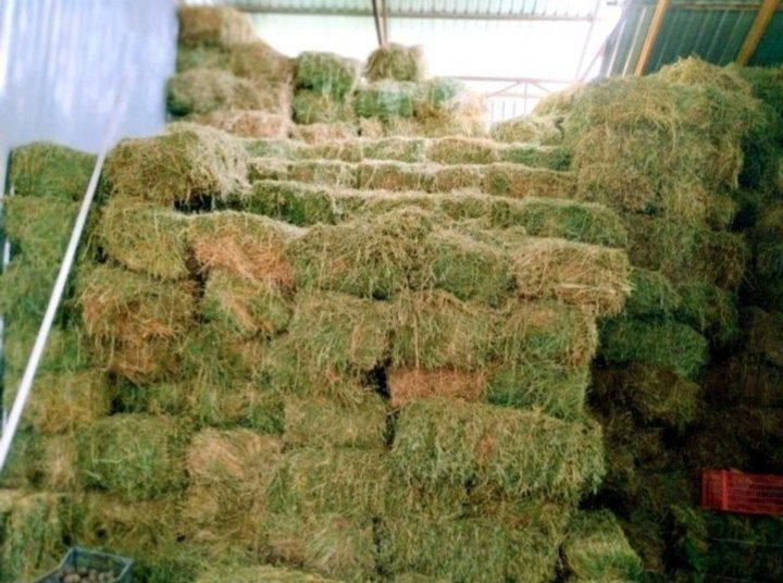 Beda pres беда прес