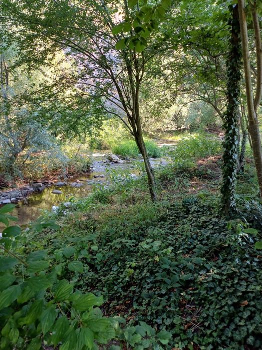 Продава се Къща в Плевен, Идеален център - 60 кв.м за 1042 €/кв.м - Снимка #12