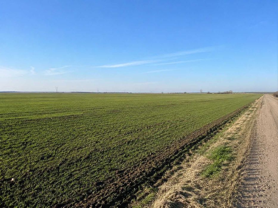 De vânzare teren extravilan - 2596 mp, Comuna Munteni, Galati