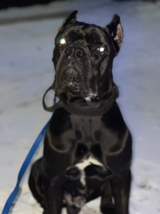 Кабель корсо для вязки