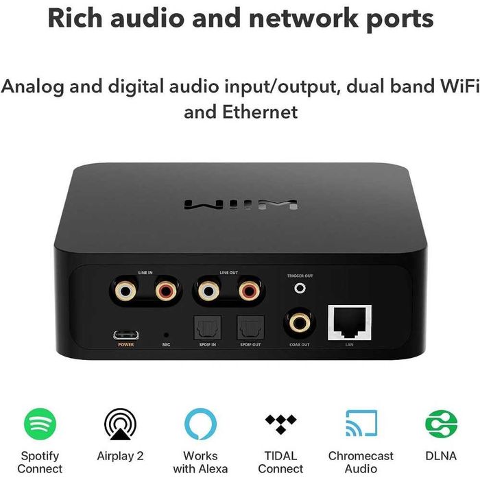 Wiim pro pluse dac