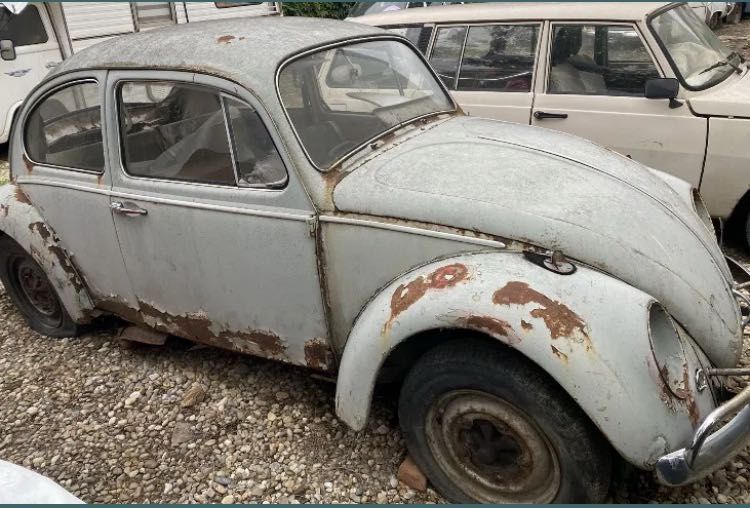 Vw Kafer/broscuta/piese