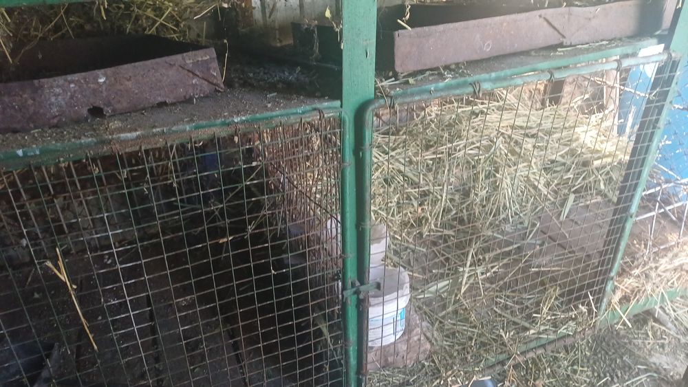 Продам добротный кролятник