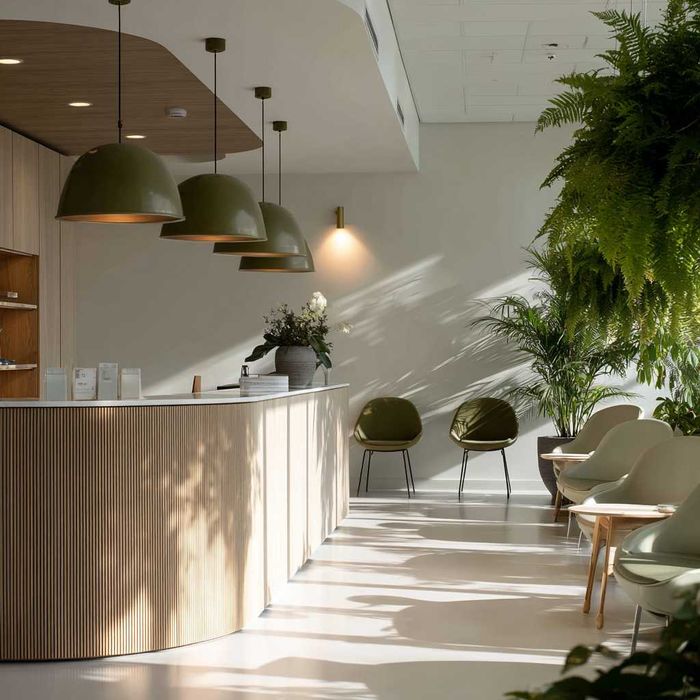 Proiecte de arhitectură, Design interior și Management de proiect