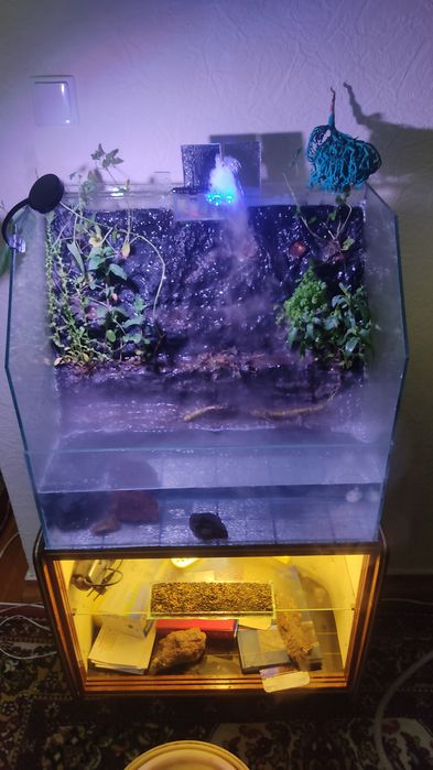 Аквариум Террариума