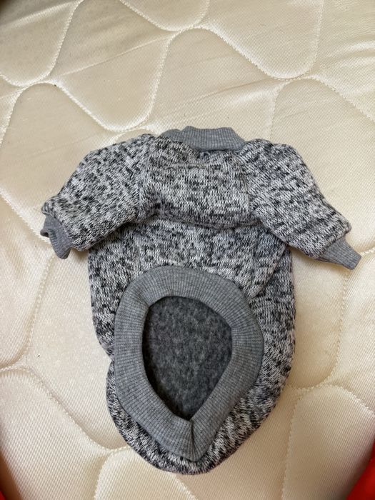 Одежда для собак