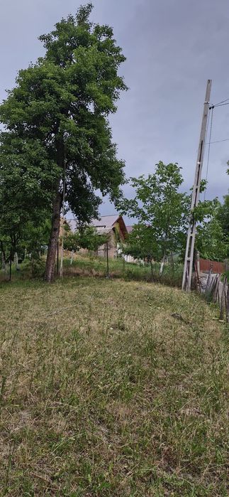 Teren intravilan munte - Arefu (Transfăgărășan)
