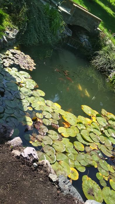 Водопады, фонтаны с бассейном ,искусственные водоёмы,  пруды