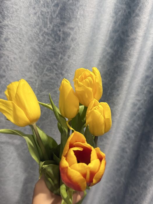 букеты и тюльпаны