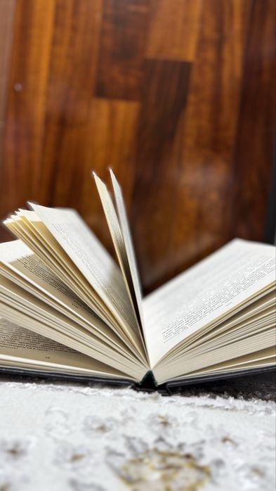 Книга Падший. Писатель Рене Ахдие