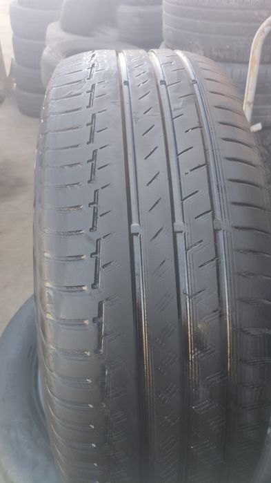 Шины континента ль лето