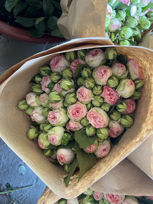 Atirgul gunchalari bor