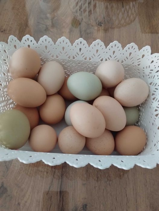 Vând ouă de găină proaspete.