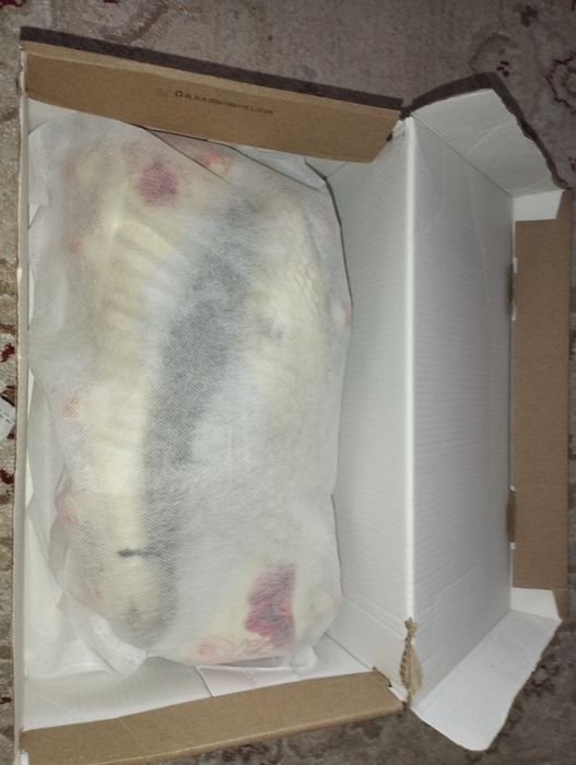 Оригинальное бутсы puma future