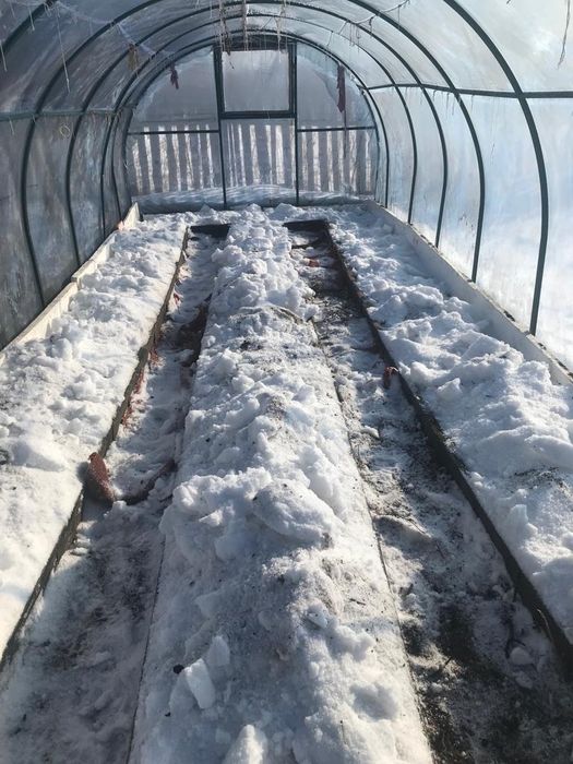 Пленка для теплиц.