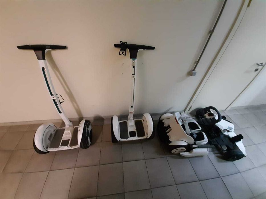 Segwey Ninebot-E (model P)