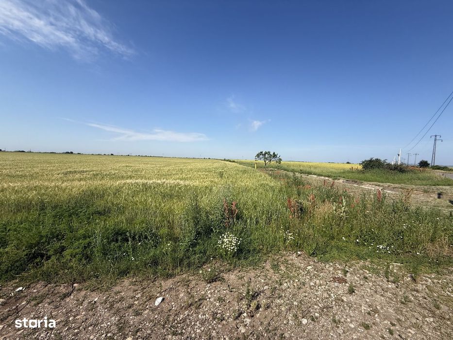 Teren 10 hectare pretabil pt panouri solare-Aricesti Rahtivani