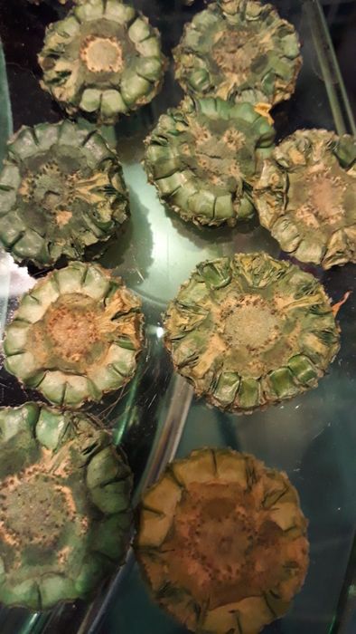 Продам декор для ваз