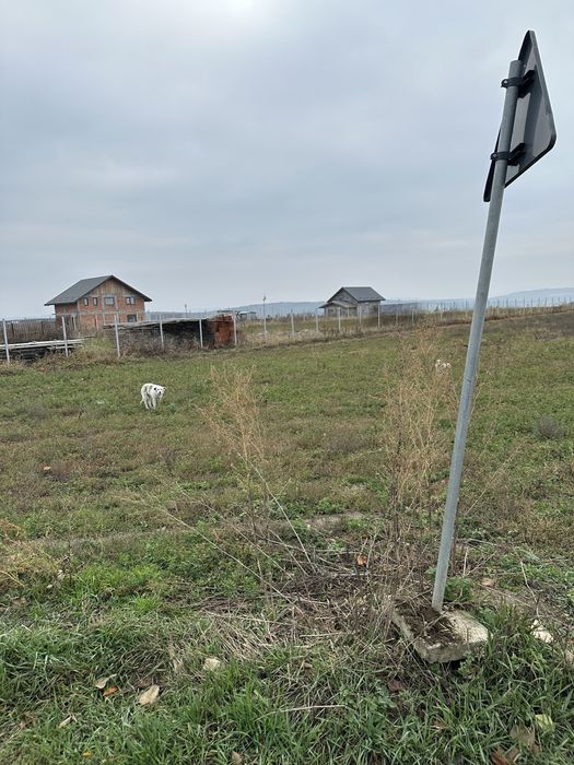 Teren vânzare intravilan REDIU-Horlești la Șoseaua strategică DJ 248 B
