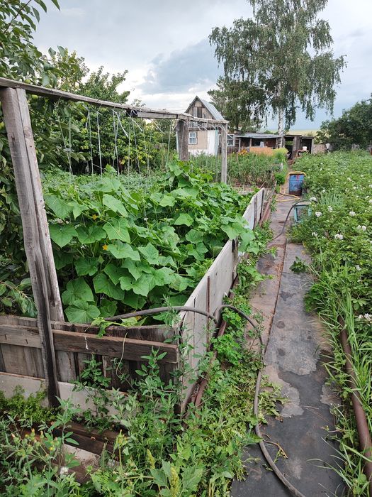 Дача на Уралочке