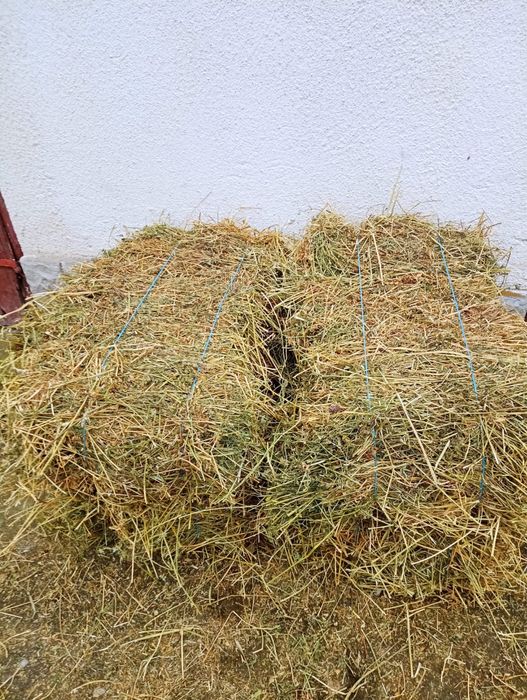 Vând Baloti Lucerna Coasa 1 si 2