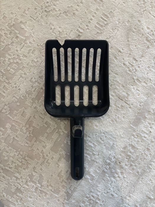 Для котенка бесплатно