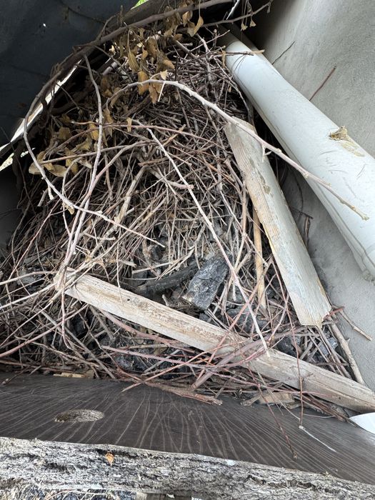 Уголь и дрова отдам бесплатно