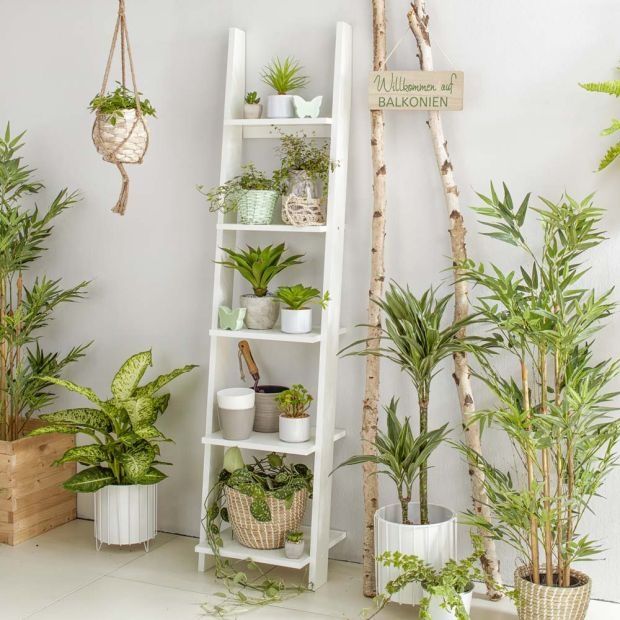 Висока стълбовидна етажерка