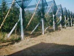 Plasa antigrindina ITALIA 1--6 m latime