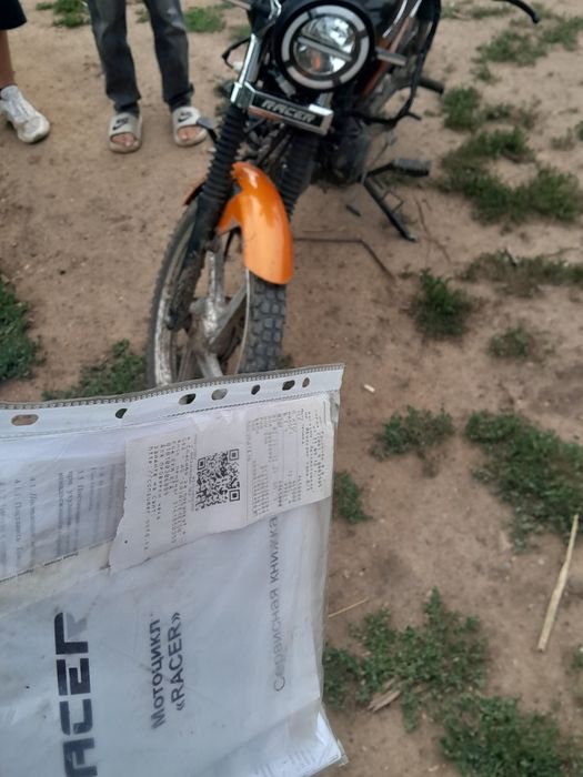 Продам расер альфу