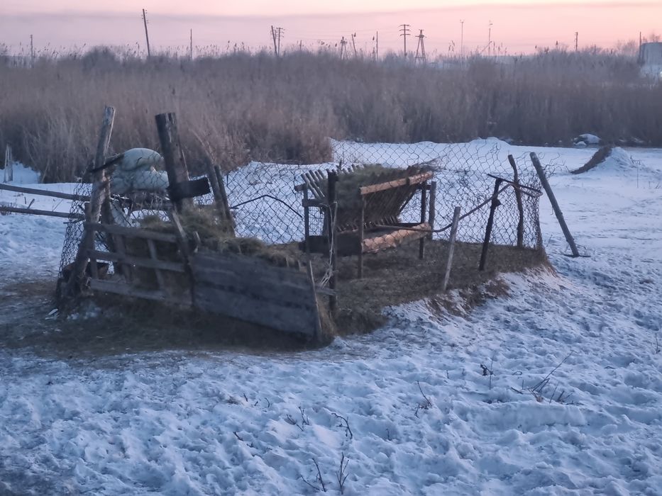 Продам дом на дальней