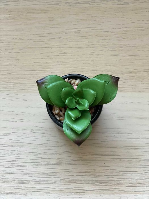 Дава се под наем Двустаен апартамент в Варна, Гръцка махала - 66 кв.м за 550 € - Снимка #12