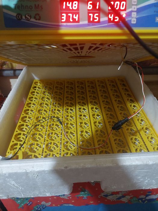 Incubator tehno ms 98