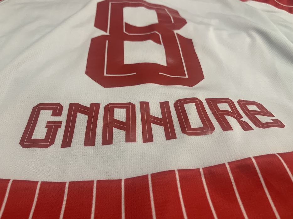 Tricou ORIGINAL de joc Dinamo x Puma Ghanore