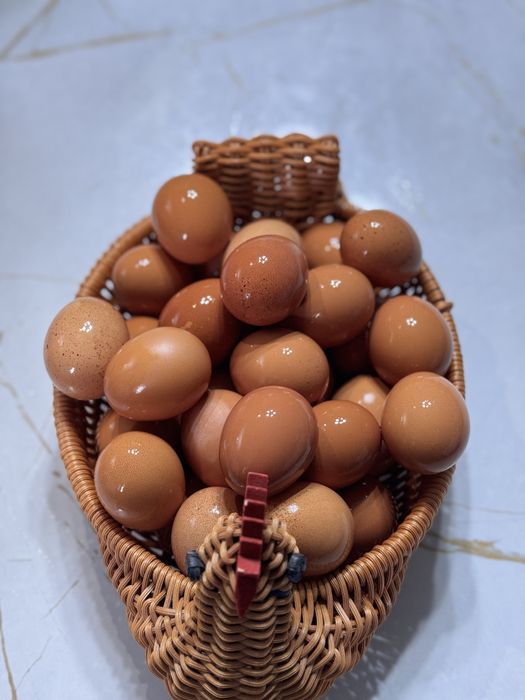 Яйцо домашнее / қолдың жұмыртқасы