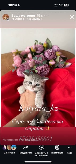 Шикарные мрамора с документами