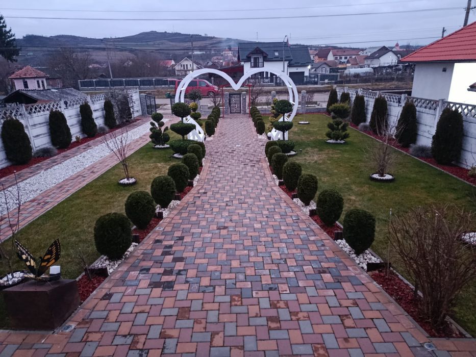 Arcadă decorativă inimă