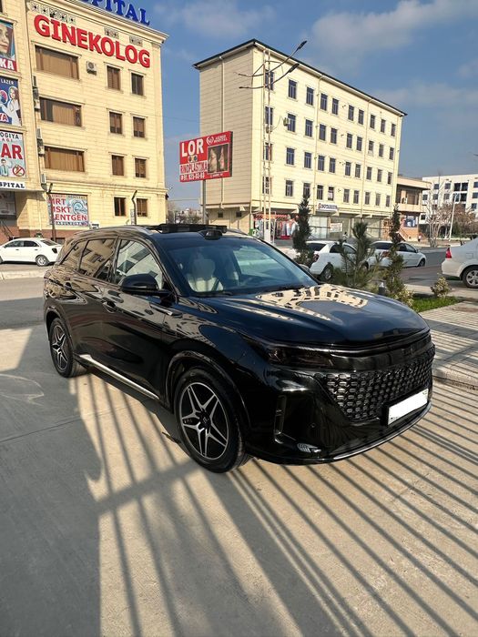 Dongfeng  2023 — 3