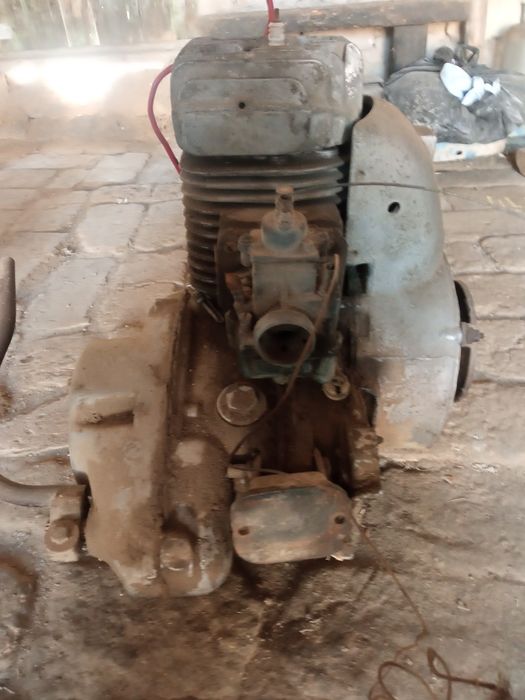 Муравей СССР матарол