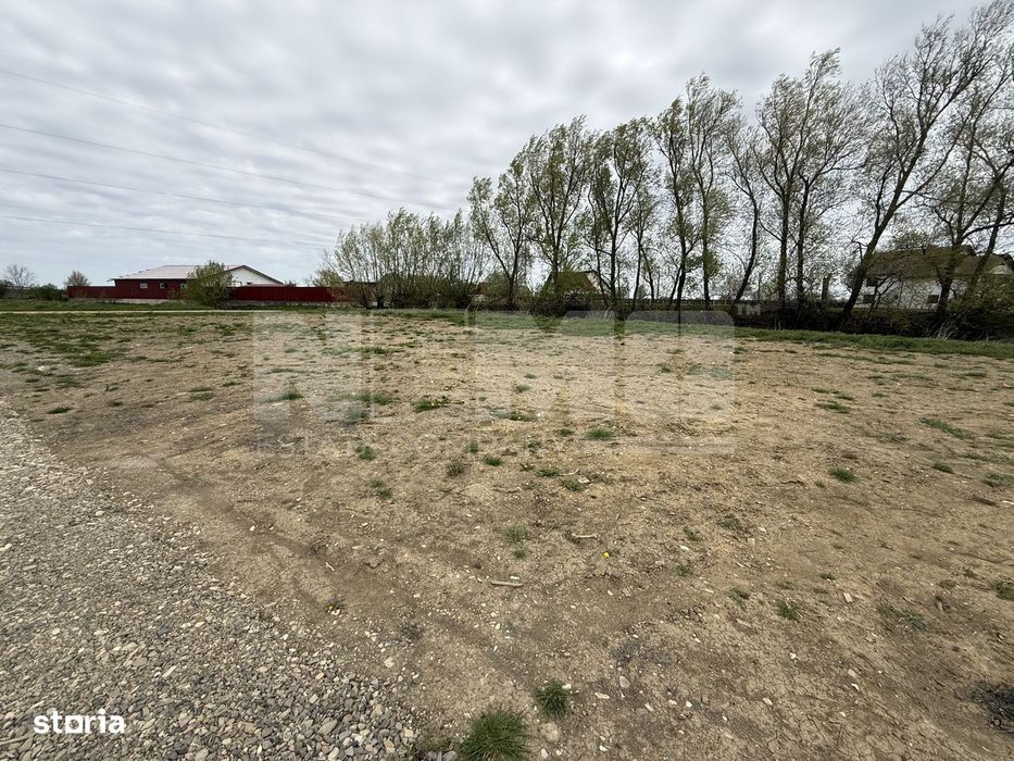 Teren intravilan | Rădăuți – Zona Tolocii | 2.000 mp | Parcelabil - Vedere 4
