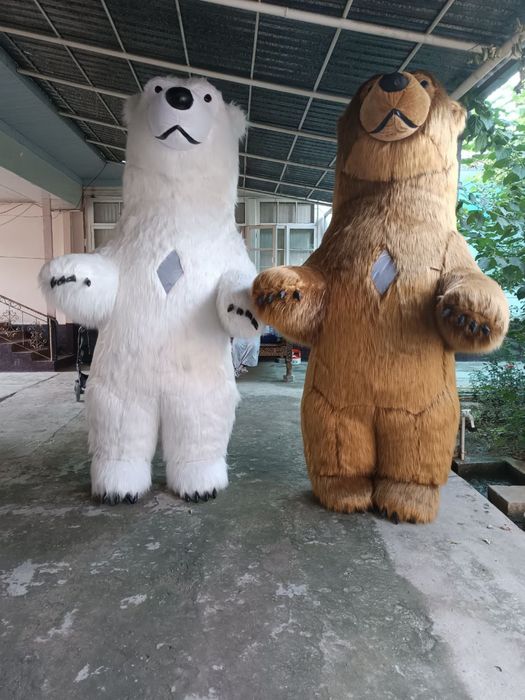 Kotta Ayiqlar sotilad