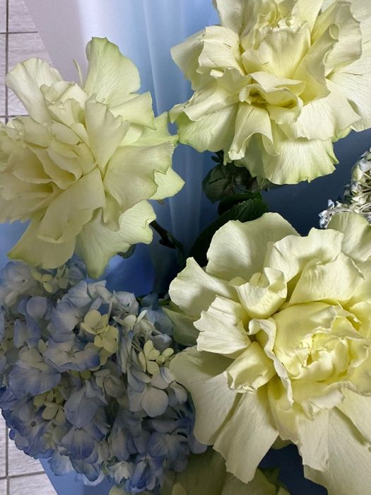 Цветы Атырау новые срочно